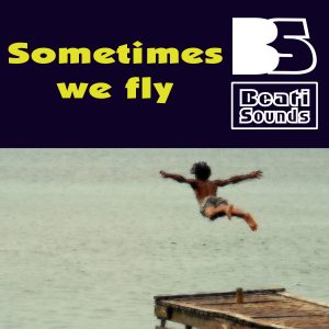 Sometimes We Fly