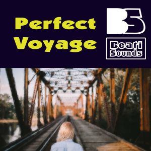 Perfect Voyage